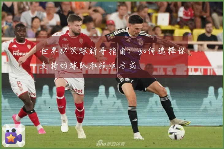 世界杯买球新手指南：如何选择你支持的球队和投注方式