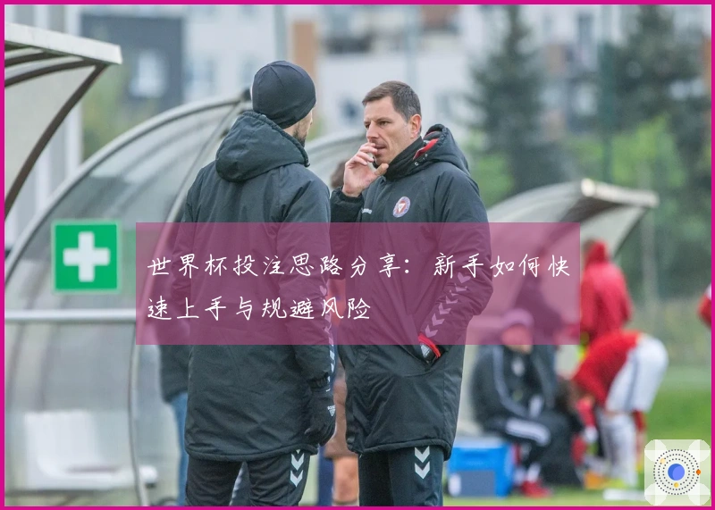 世界杯投注思路分享：新手如何快速上手与规避风险
