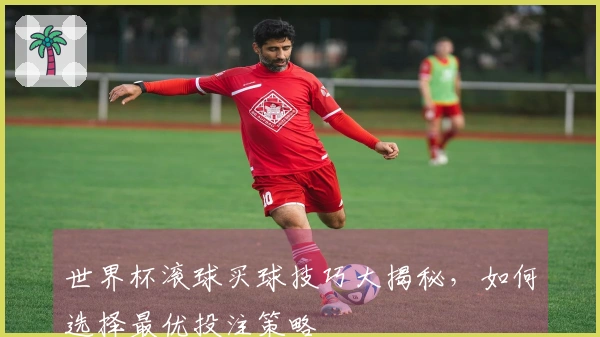 世界杯滚球买球技巧大揭秘，如何选择最优投注策略
