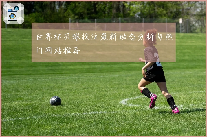 世界杯买球投注最新动态分析与热门网站推荐