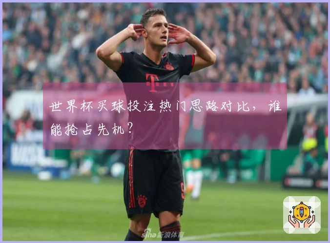世界杯买球投注热门思路对比，谁能抢占先机？