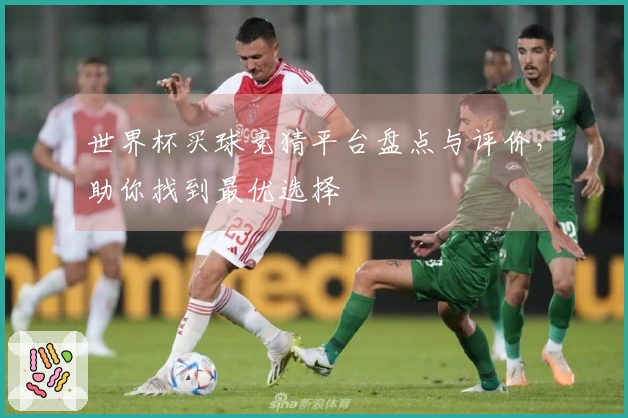世界杯买球竞猜平台盘点与评价，助你找到最优选择