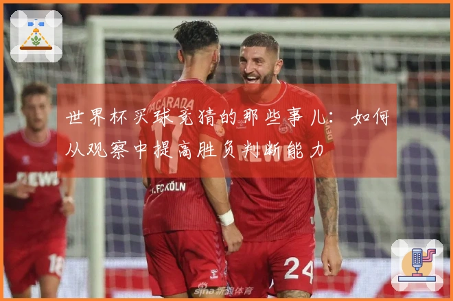 世界杯买球竞猜的那些事儿：如何从观察中提高胜负判断能力