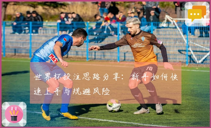世界杯投注思路分享：新手如何快速上手与规避风险